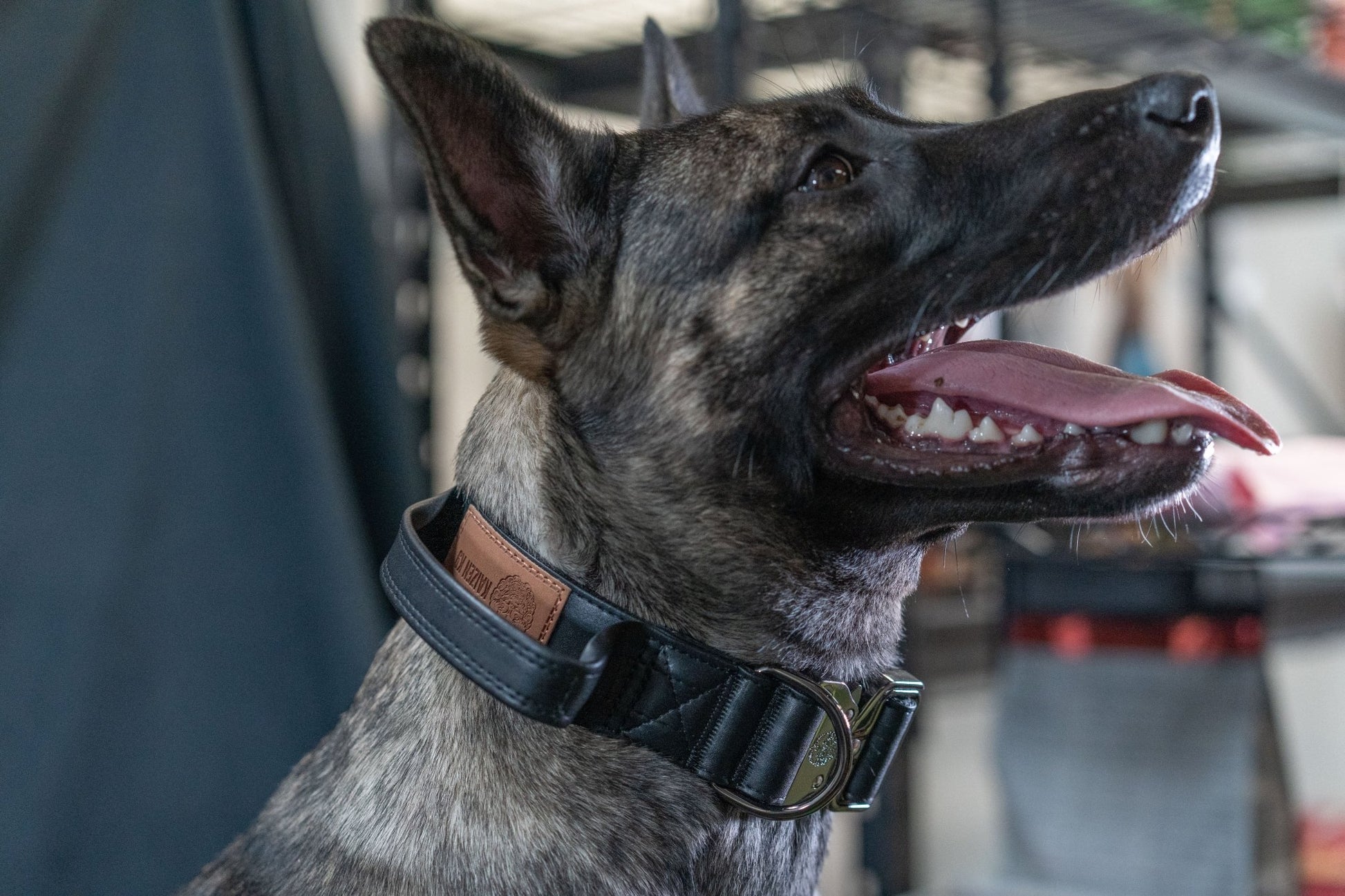 Stealth - KK9 Tactical Collar V4 (1.5" and 2") - Kaizen K9