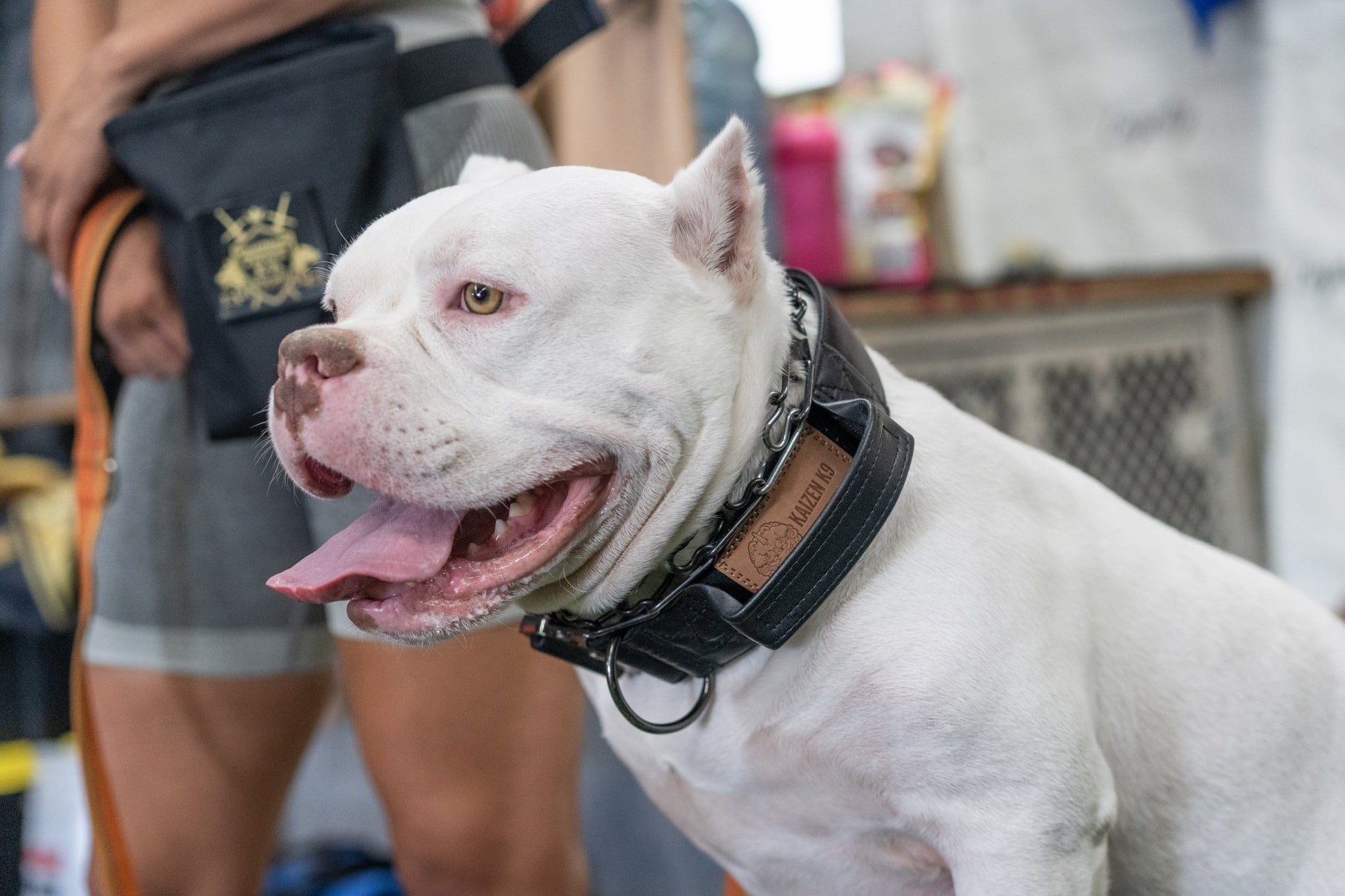 Stealth - KK9 Tactical Collar V4 (1.5" and 2") - Kaizen K9