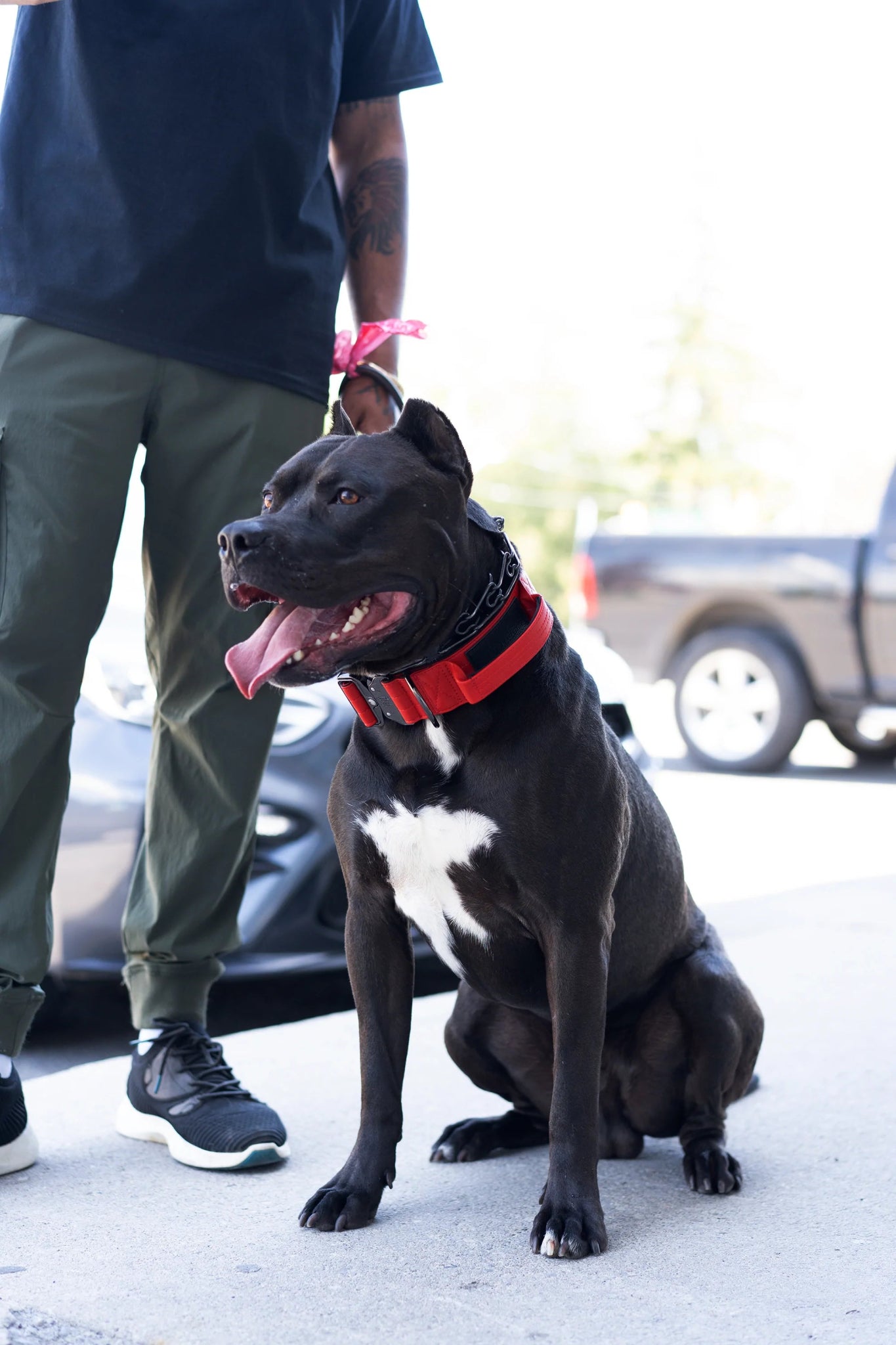 Fire Red - KK9 Tactical Collar V4 (1.5" and 2") - Kaizen K9